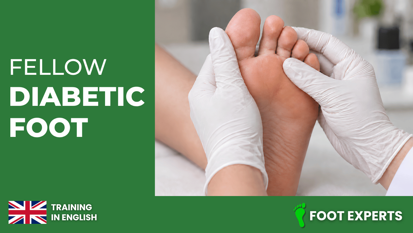 [EN] Fellow Diabetic Foot 2026